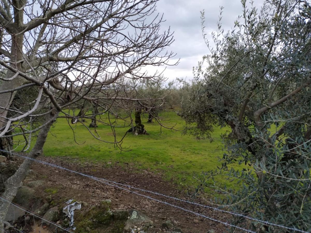 Casa Rural La Picota Valverde de la Vera 外观 照片