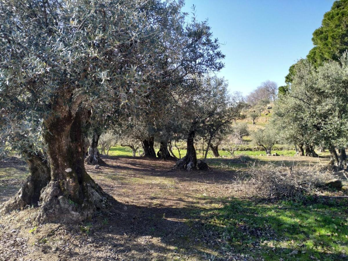 Casa Rural La Picota Valverde de la Vera 外观 照片
